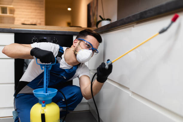 Port Hadlock Irondale, WA Pest Control Company