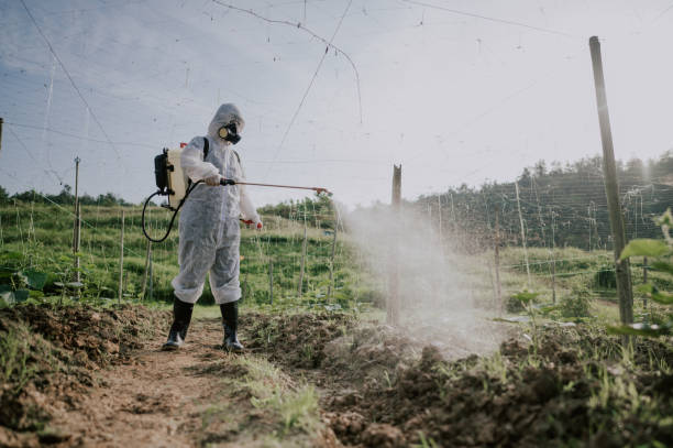 Best Affordable Pest Control Services  in Port Hadlock Irondale, WA