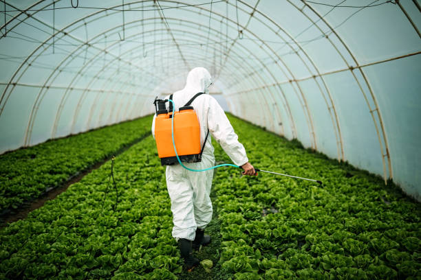 Best Pest Control Near Me in Port Hadlock Irondale, WA